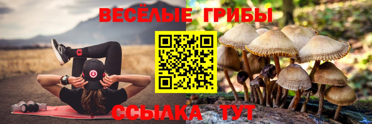 Галлюциногенные грибы MAGIC MUSHROOMS  Вход с VPN  Аргун 